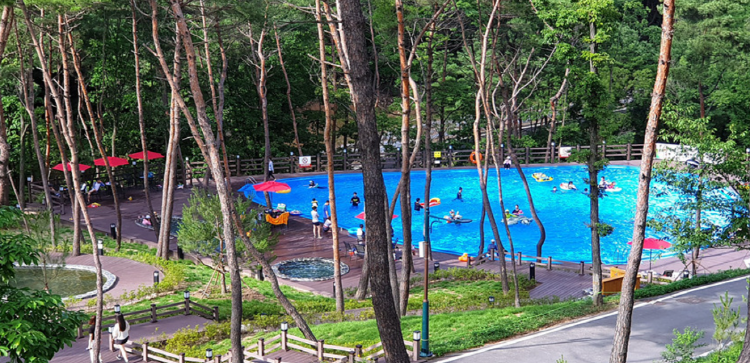 속리산 숲체험휴양마을