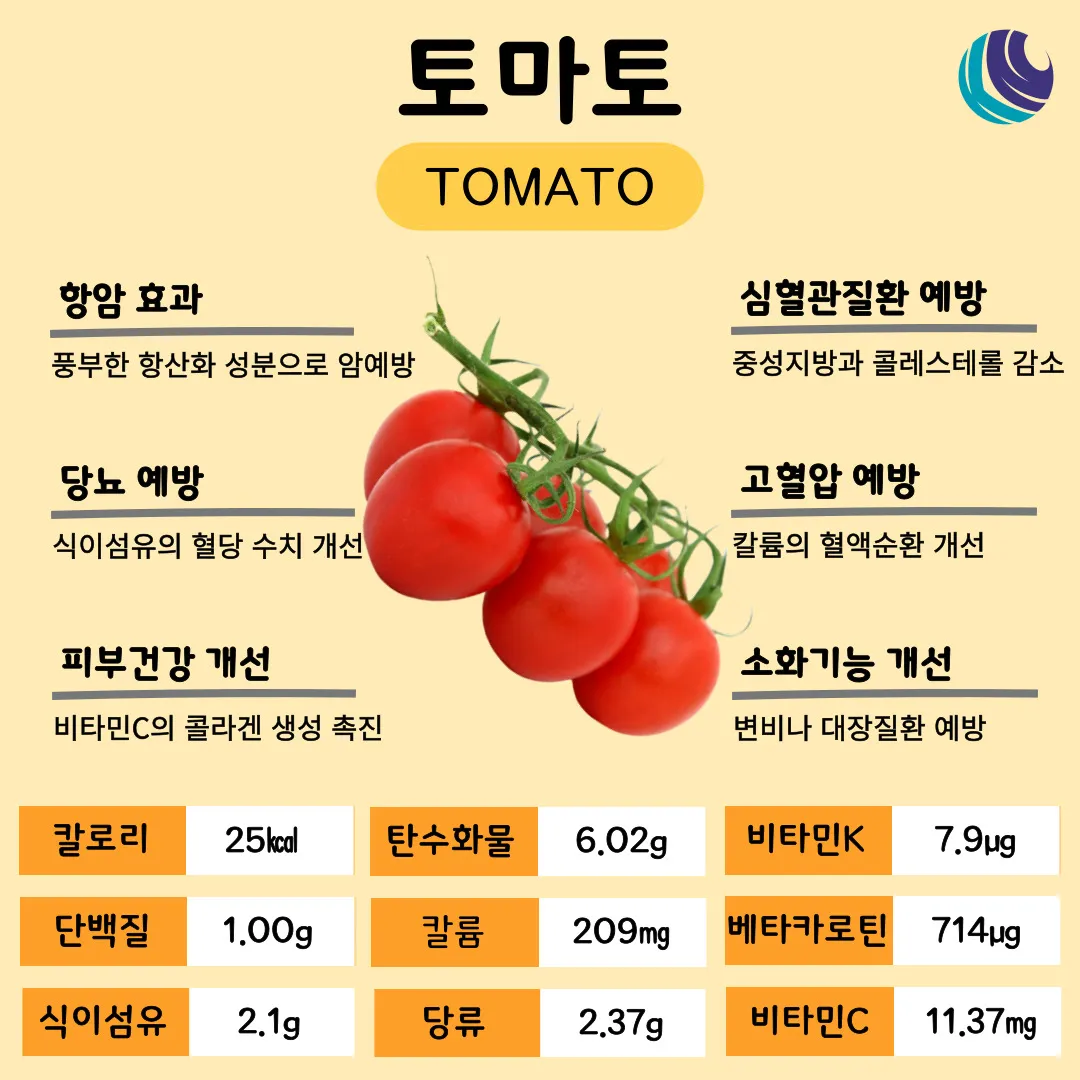 토마토 효능 항산화 작용과 피부건강 효과 정리_1