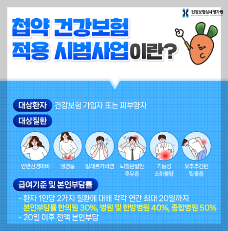 허리디스크 생리통 건강보험 적용 시범 사업