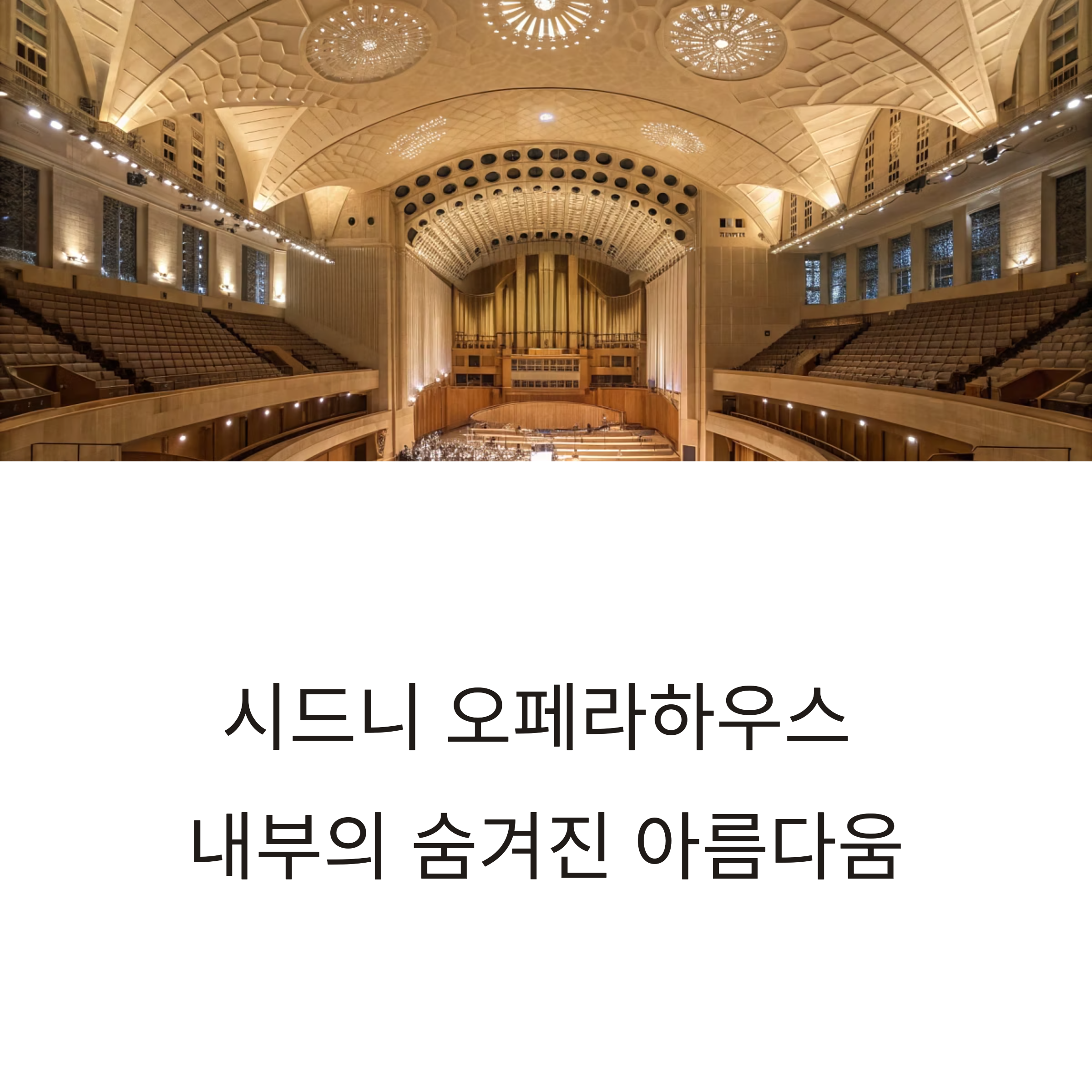 호주 시드니 오페라하우스 내부 투어