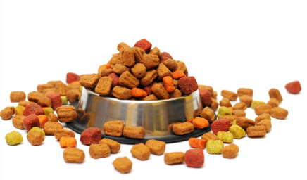 애완동물 사료 사진.