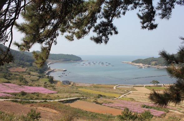 청산도 슬로우 길