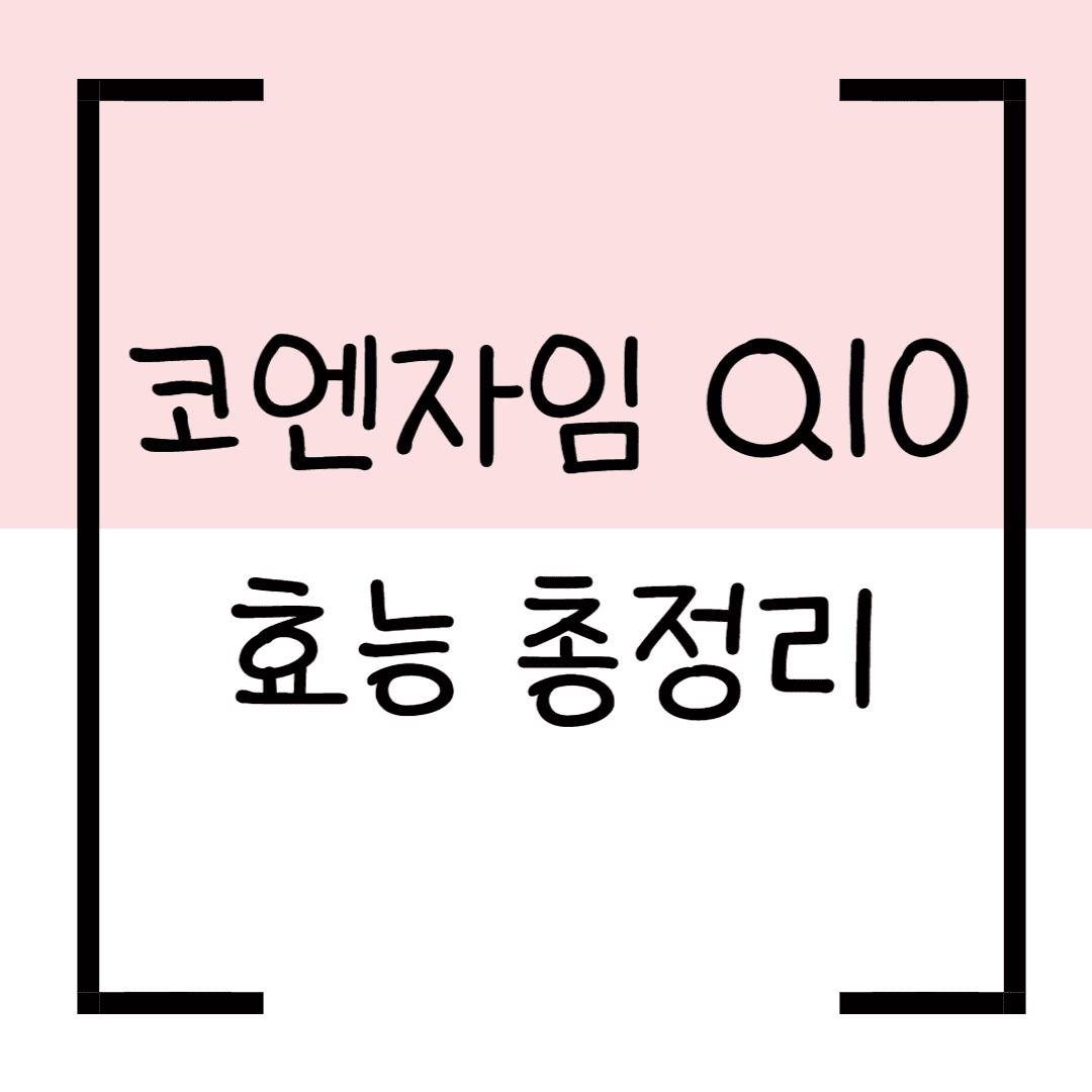 코엔자임 Q10 효능 총정리