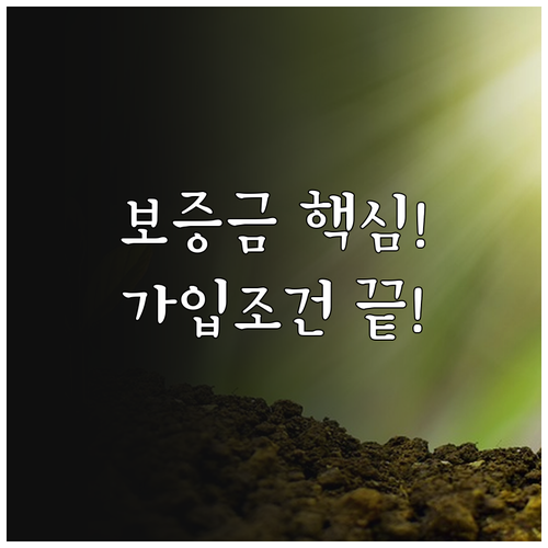 전세보증금 반환보증 가입 조건 필수 ..