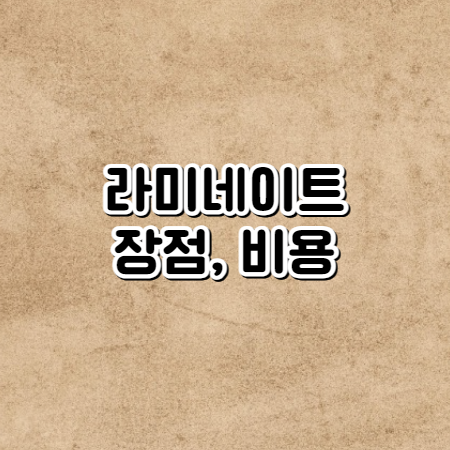 라미네이트 (연예인 라미네이트, 장점, 비용)