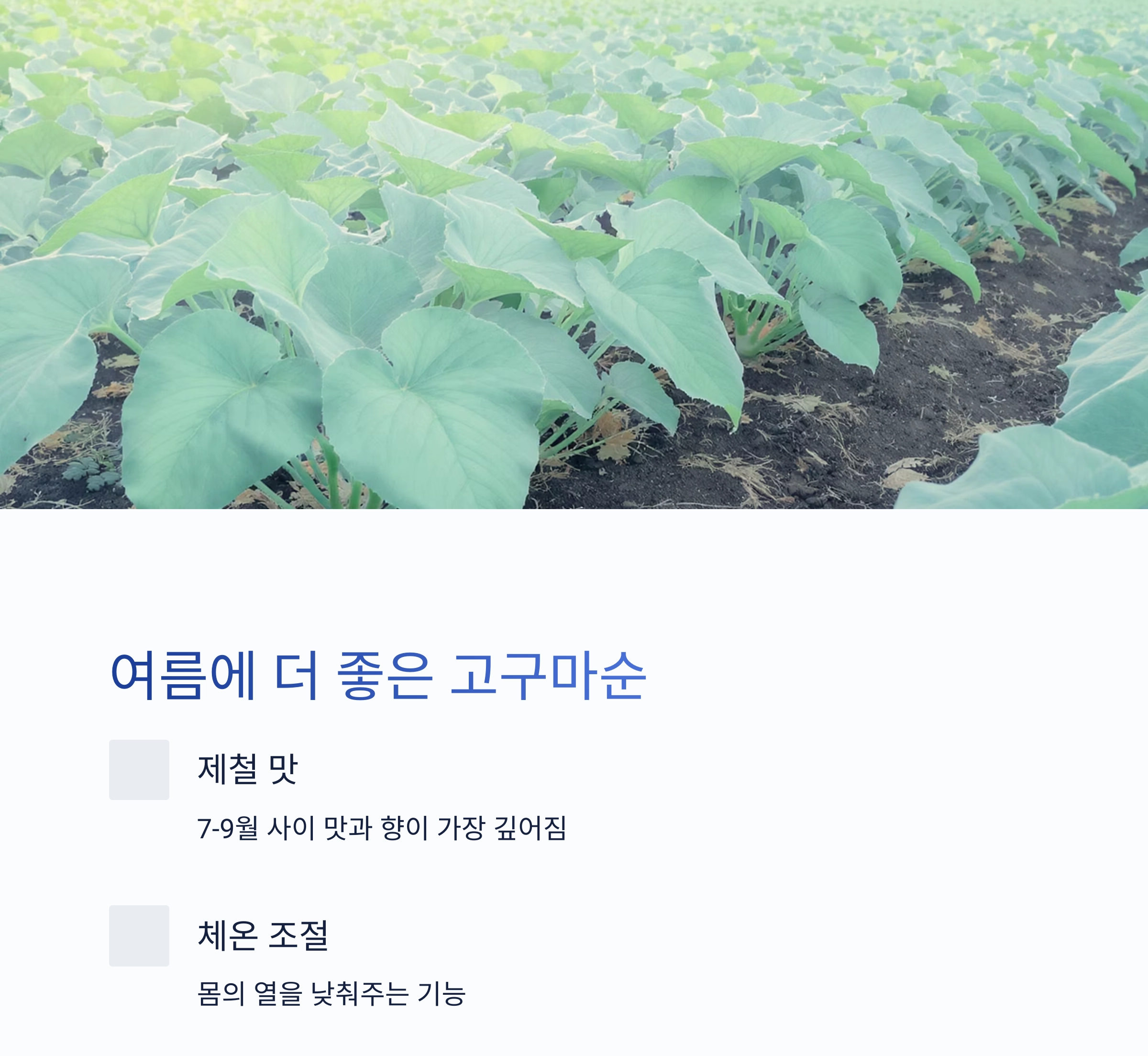 여름철 장 건강을 지키는 비결, 고구마순 볶음 한 접시면 충분해요