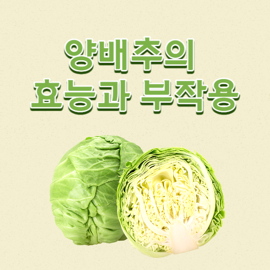 양배추의 효능과 부작용