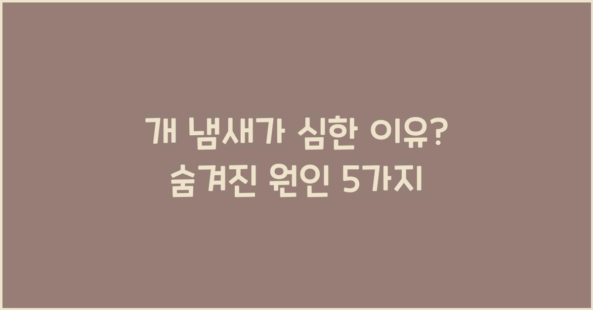 개 냄새가 심한 이유