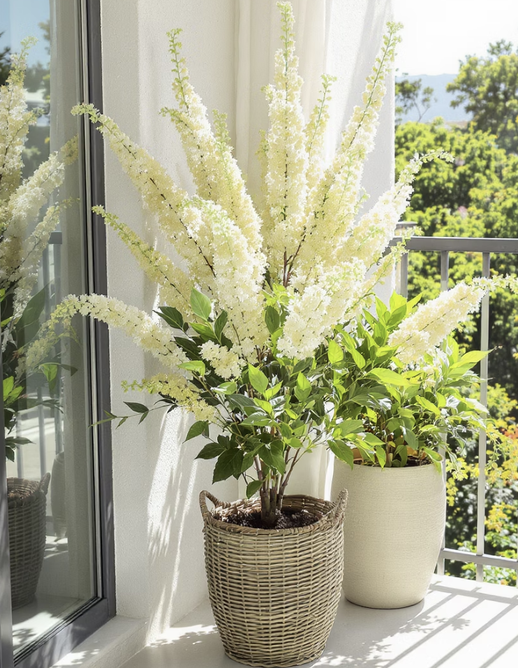 햇빛, 많을수록 좋아요