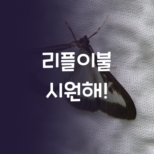 보드래 리플샤카 홑이불 써보니… 올여..
