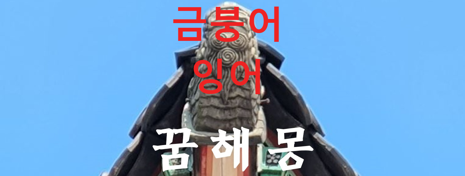 꿈해몽