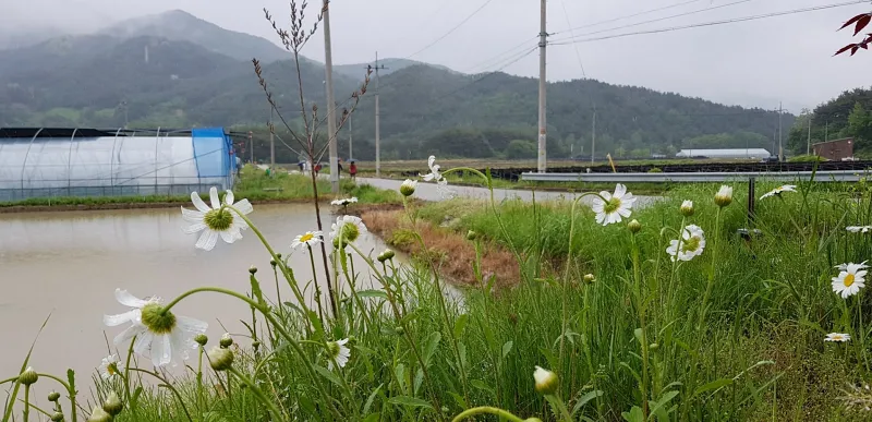 거창 수승대 둘레길