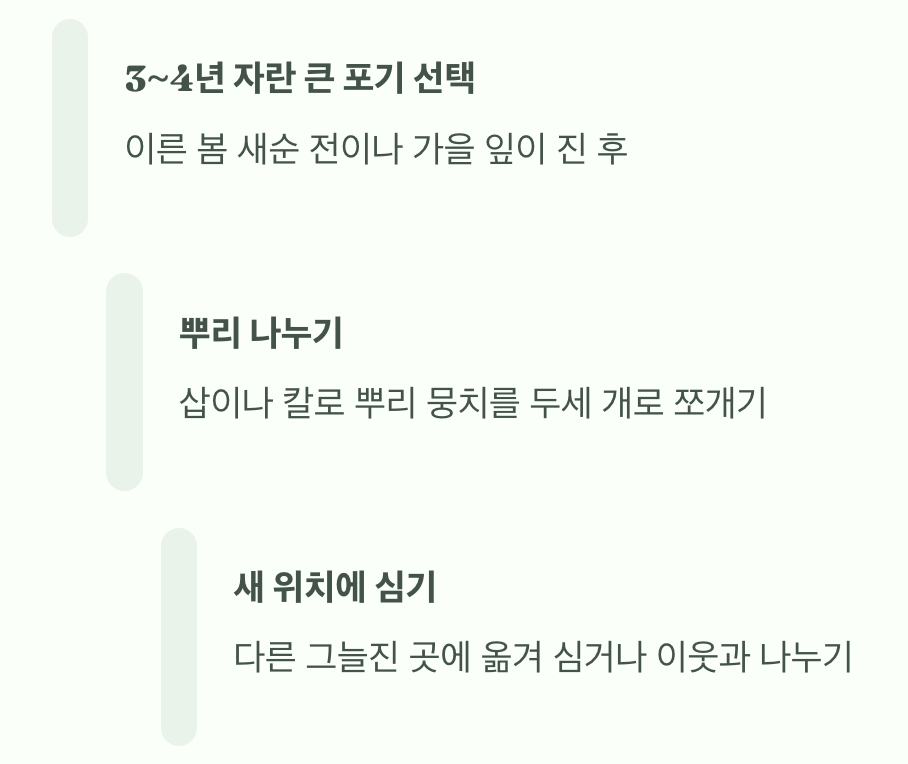 '포기나누기'로 정원을 넓혀가세요