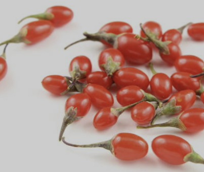 구기자 효능 부작용 구기자차 끓이는 법 총정리(최신)