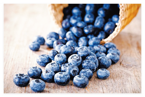 블루베리-효능-효소