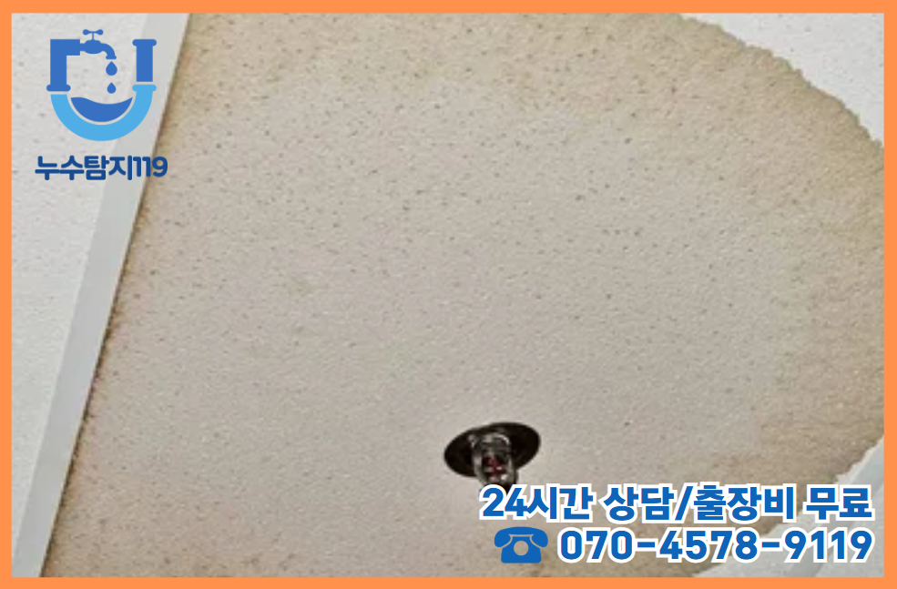 가수원동 아파트,빌라,상가2