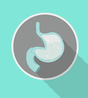 위축성위염-이미지