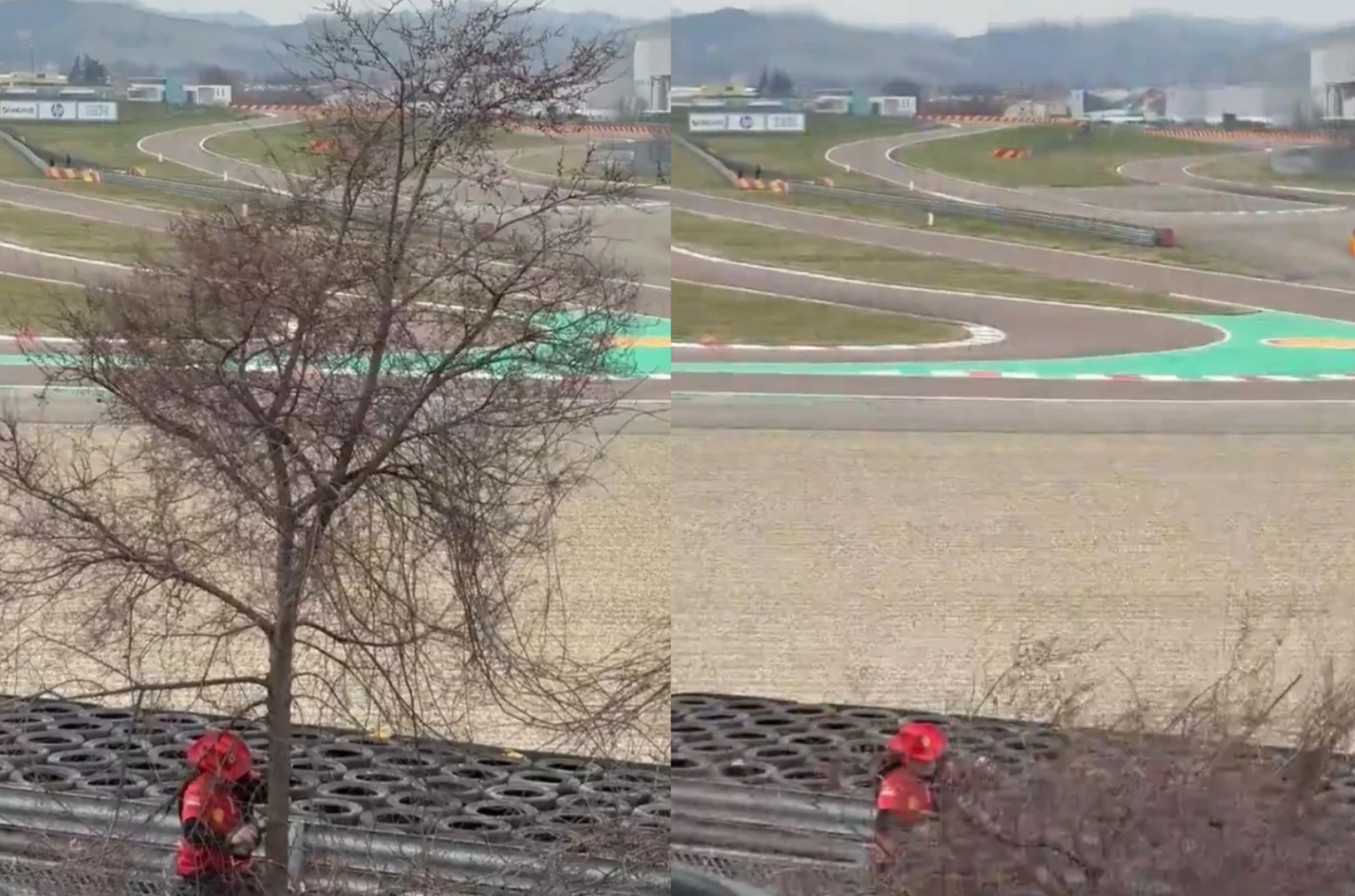 한 열성 팬이 루이스 해밀턴을 보기 위해 나무를 자르고 있다.