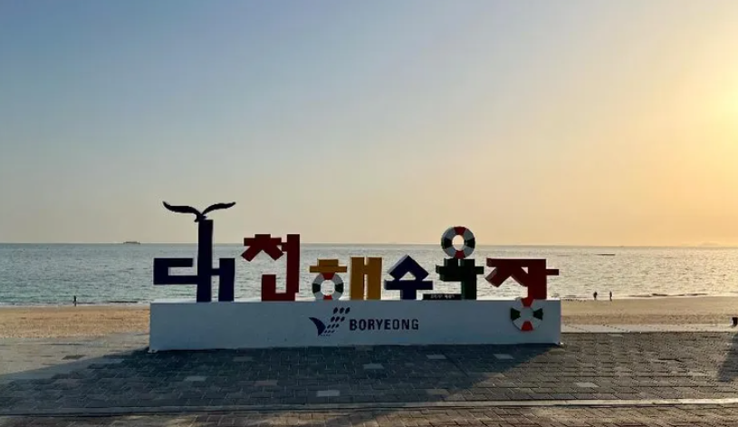 보령머드축제 대천해수욕장