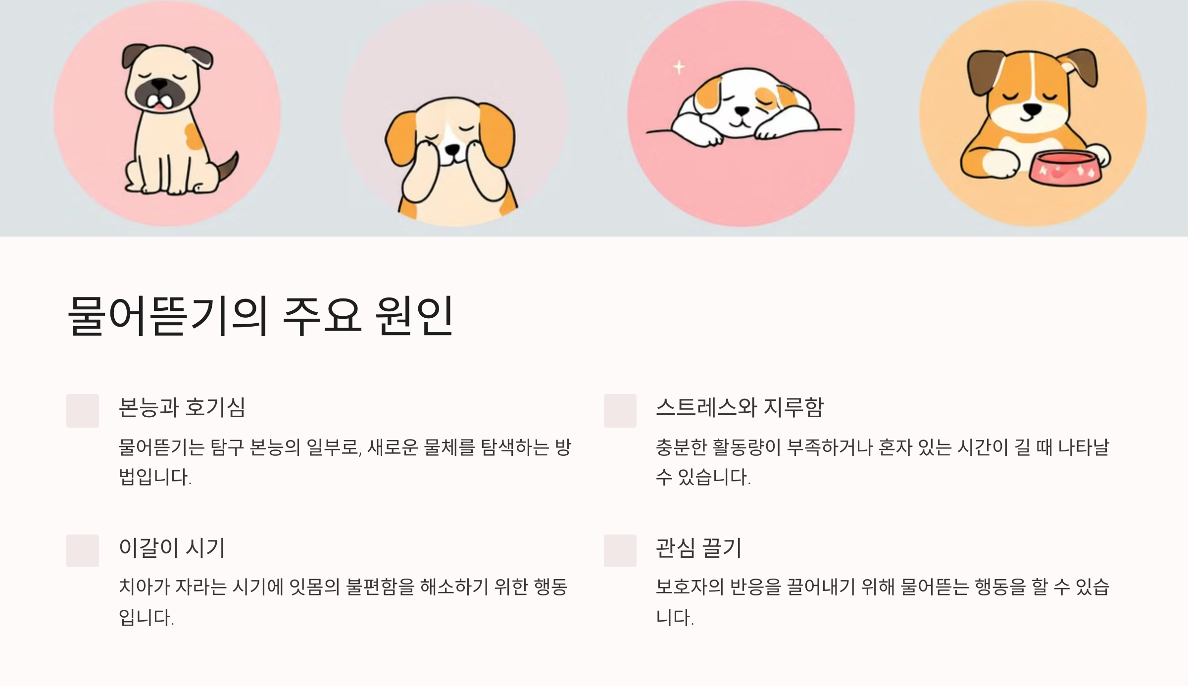 강아지가 물건을 물어뜯는 이유