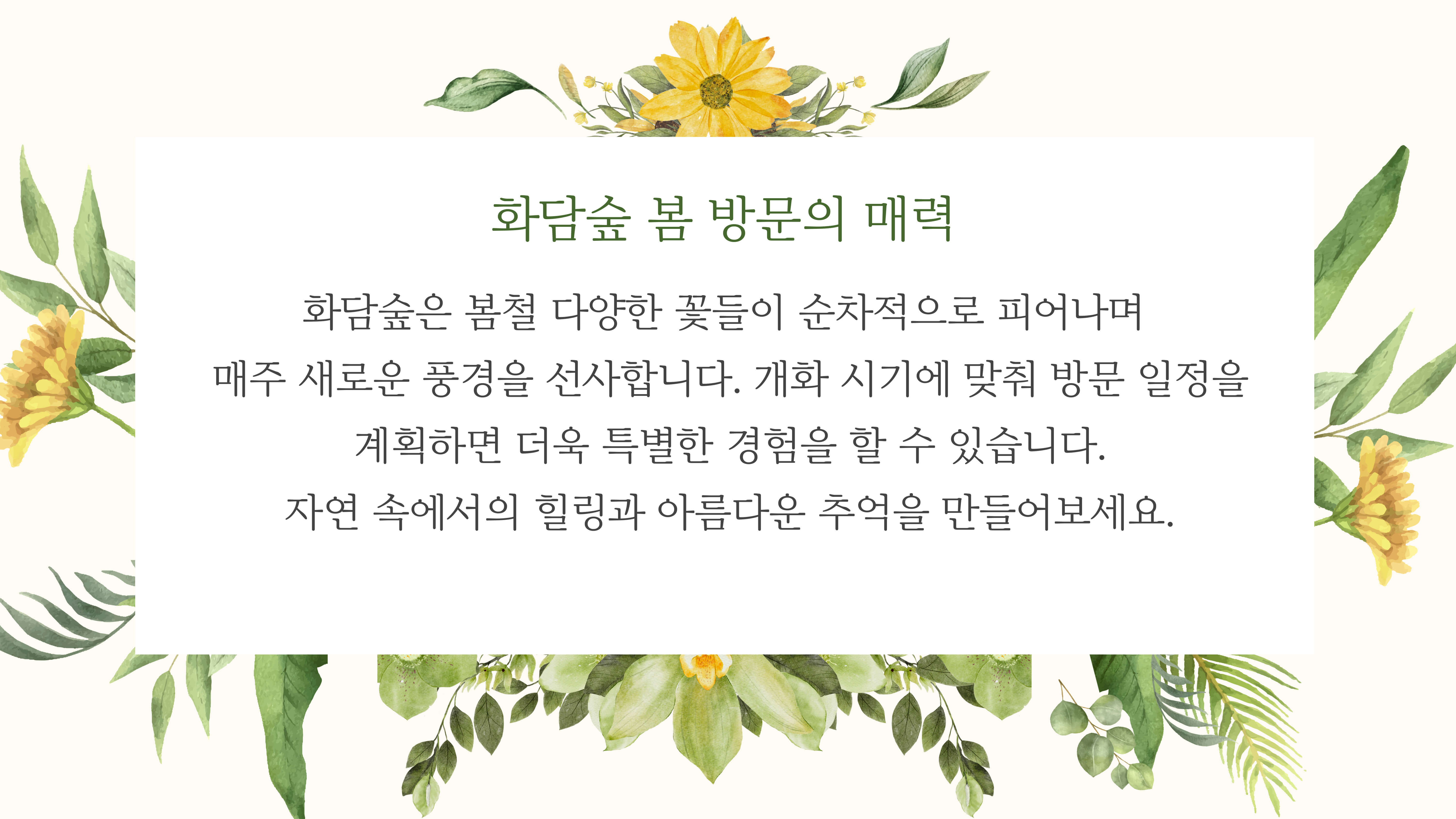 화담숲 봄꽃 개화 시기, 방문 일정 꿀팁