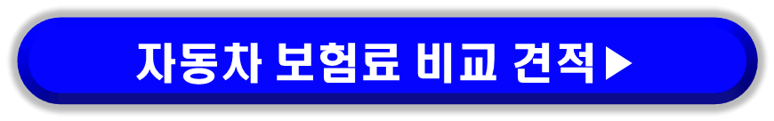 자동차 보험료 나이 구간 평균과 20대, 만 26세 기준으로 달라지는 내용을 확인하고 자동차 보험료 가입 시 비교 분석하는 꿀팁