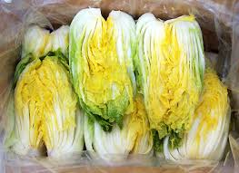 김장용 절임 배추