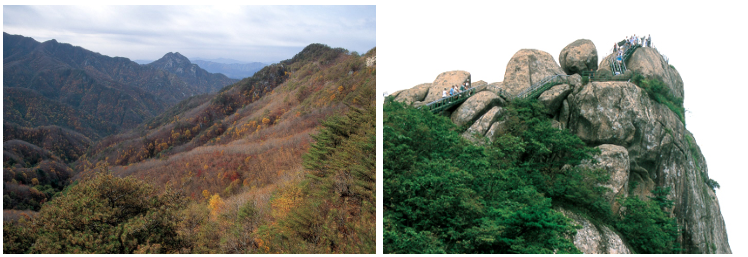 백운산 과 속리산 소개 사진