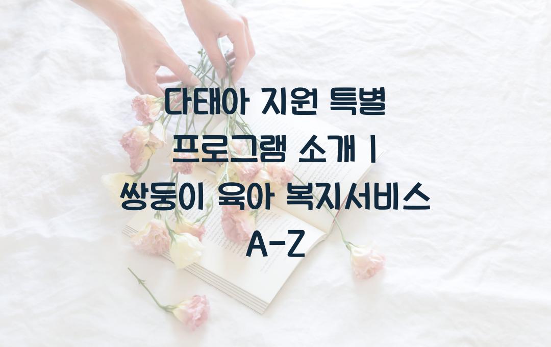 다태아 지원 특별 프로그램, 쌍둥이 육아에 유용한 복지서비스 안내