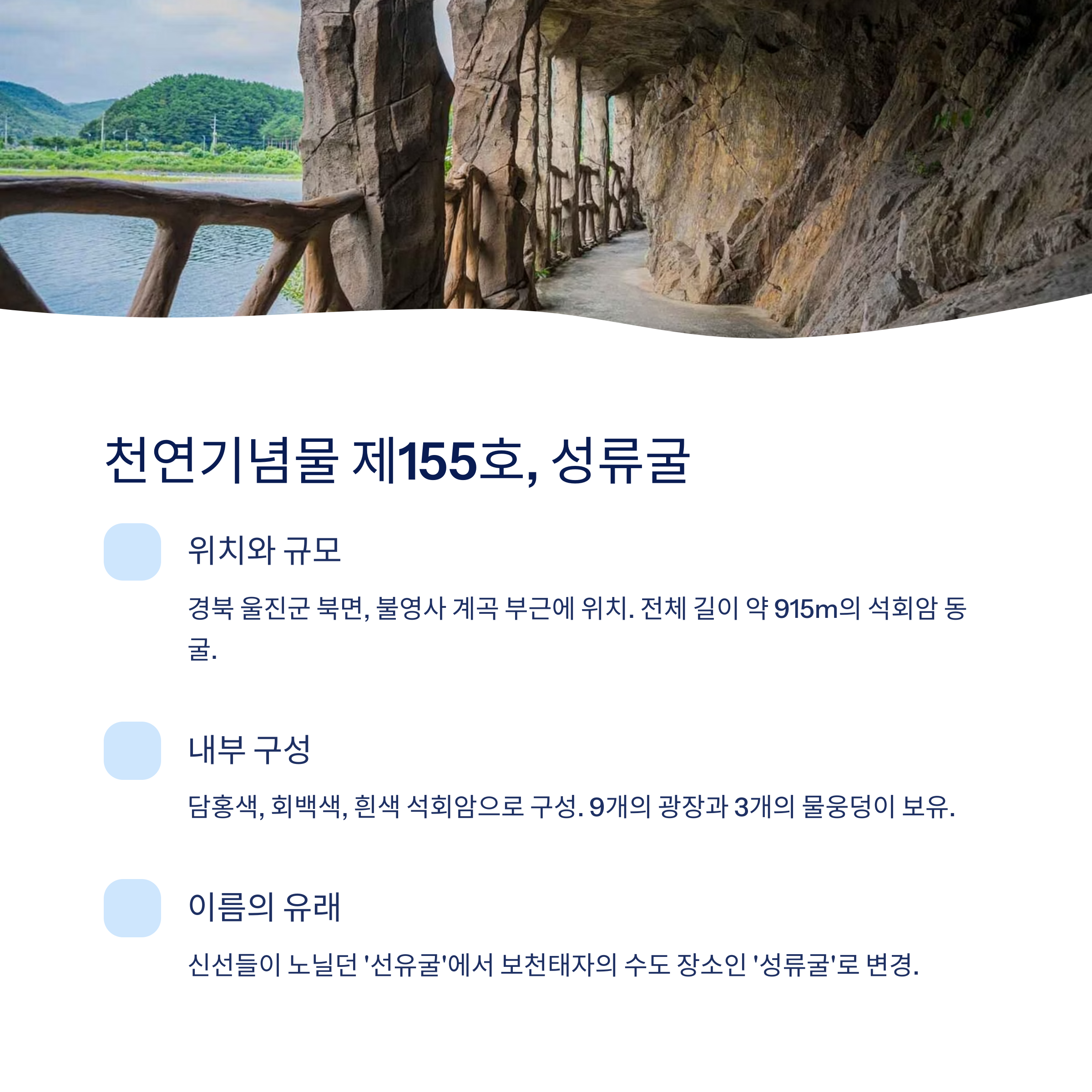 위치와 기본정보