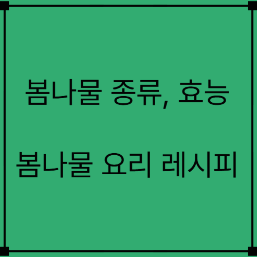 봄나물 이름,종류와 효능,봄나물 요리레시피에 대해 알아보기