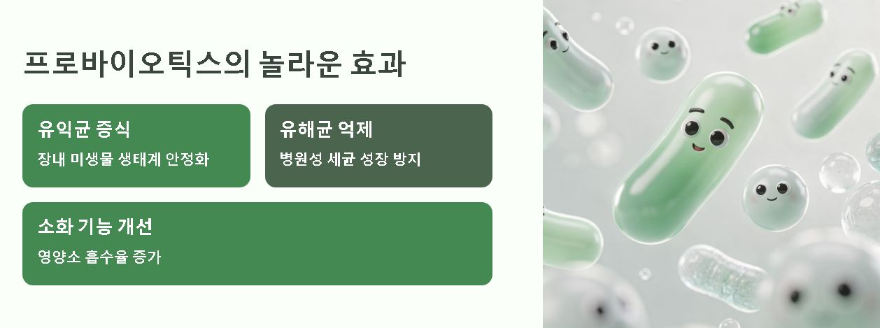 그릭요거트 효능