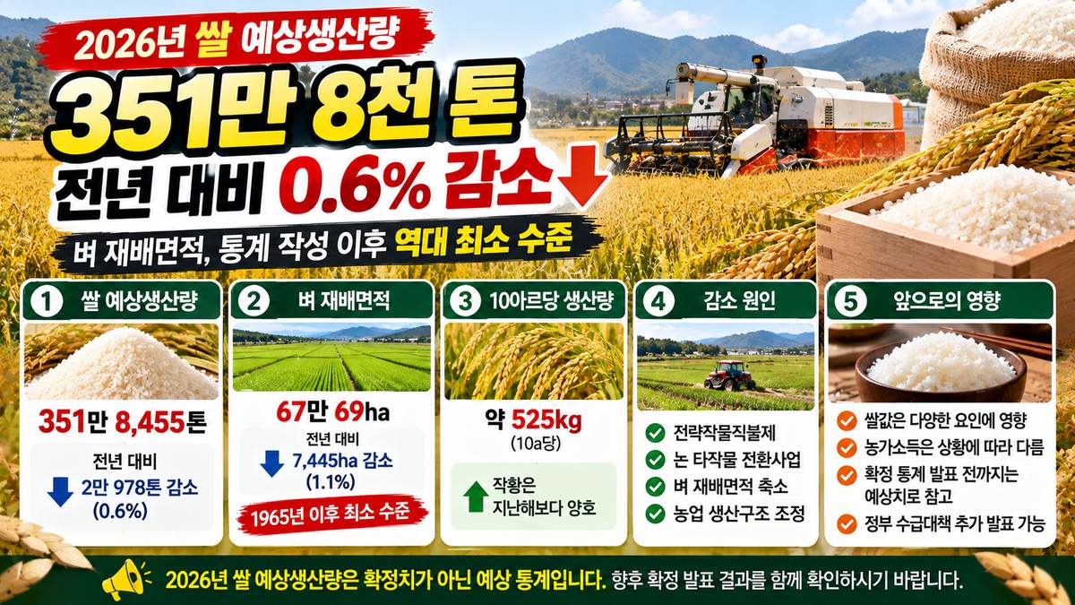 2026년 쌀 예상생산량 351만 8천 톤, 전년 대비 0.6% 감소와 벼 재배면적 축소 안내 이미지.