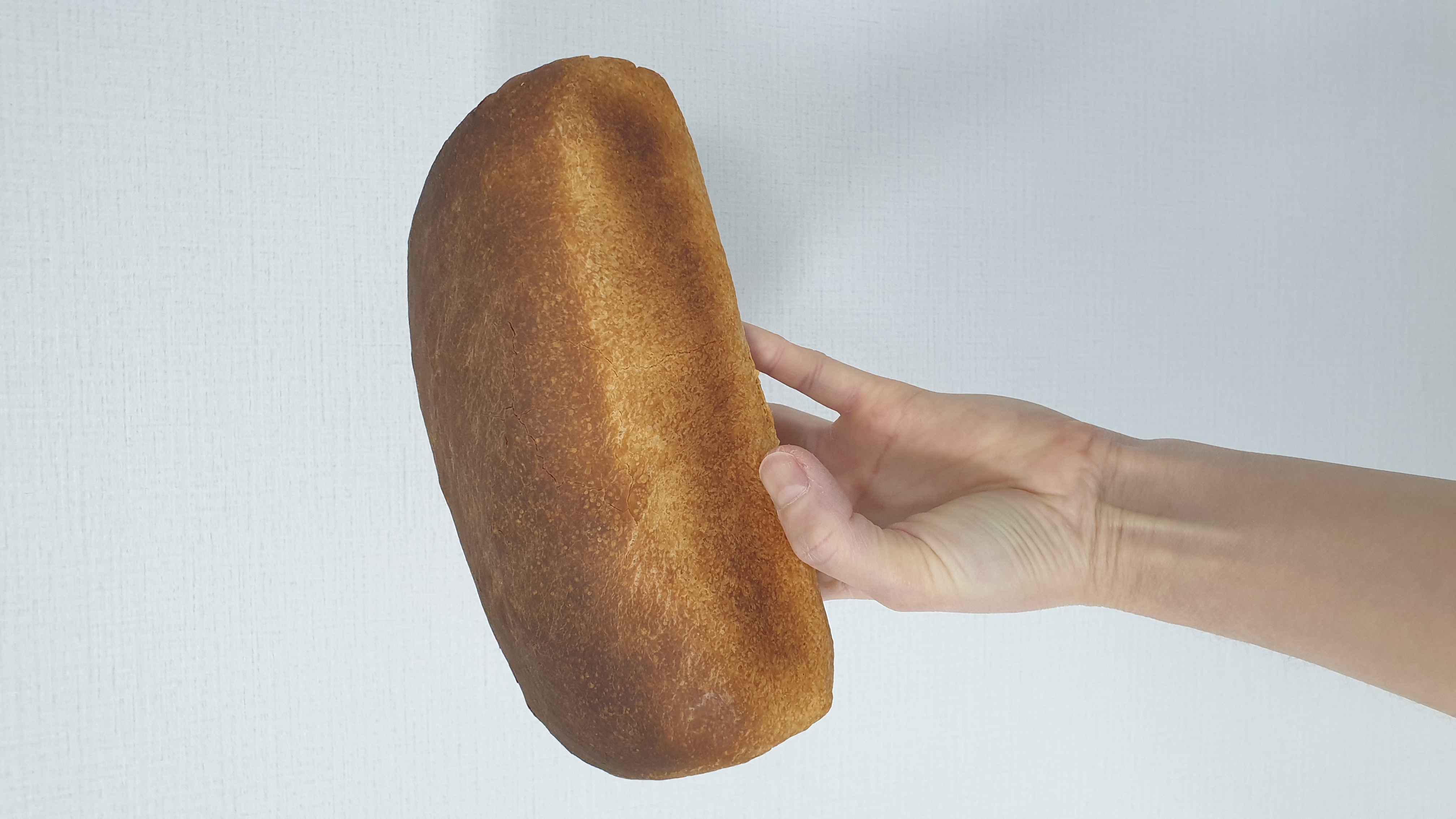 전체 모습