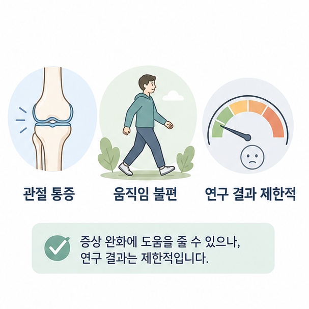 관절 통증과 움직임 불편에 관한 MSM 연구 결과와 제한된 근거