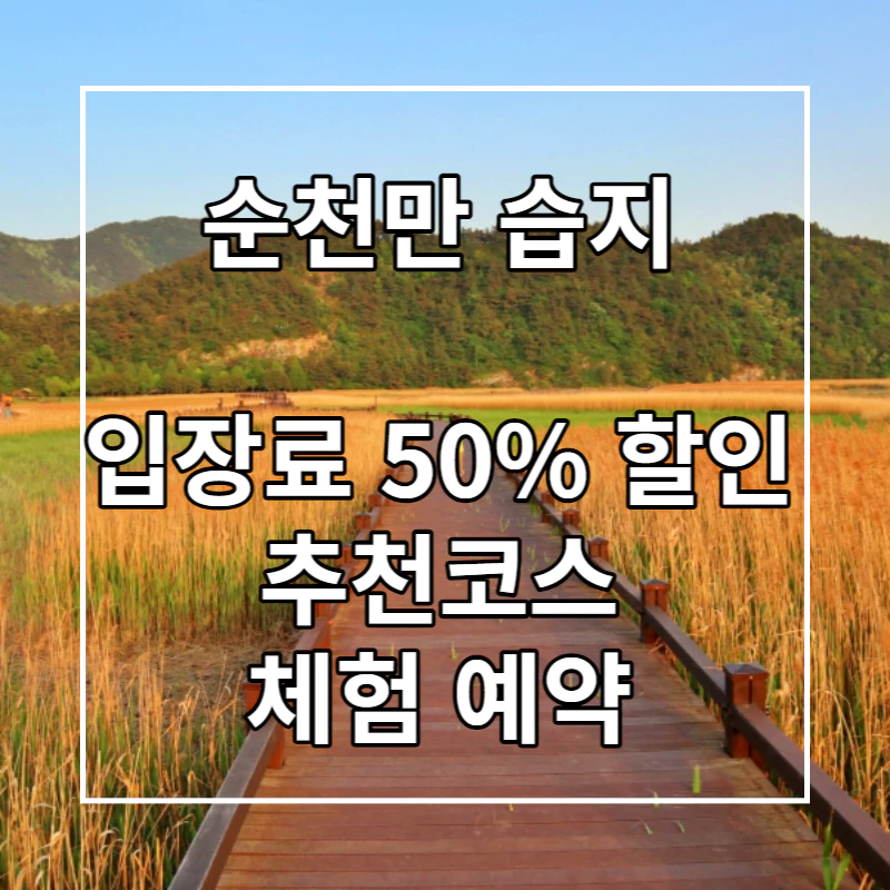 노란 갈대밭이 펼쳐진 순천만 습지 위에 제목이 적혀있다