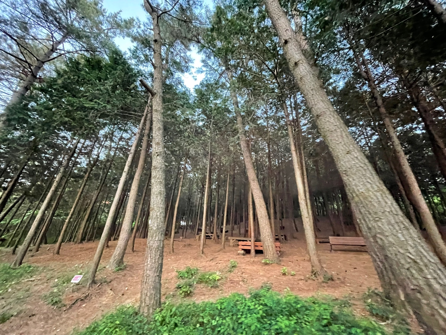 군산 여행 추천 - 월명공원 소개