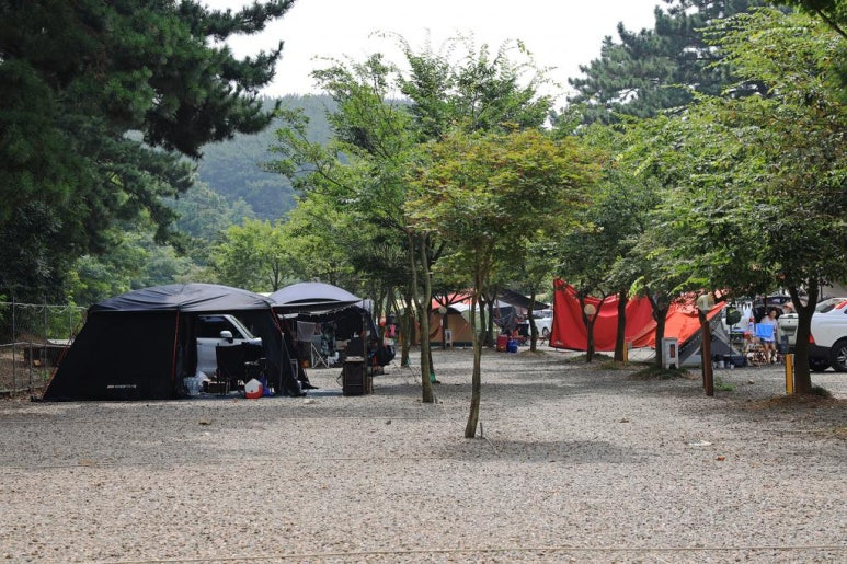 안산 대부도 인생 캠핑장, 추천 캠핑장