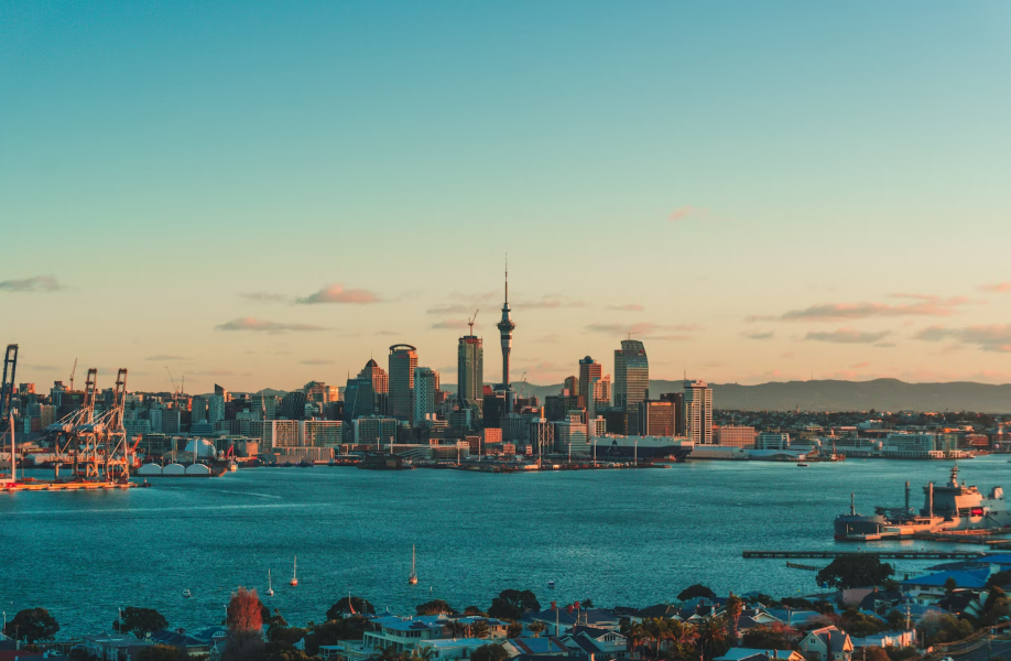 뉴질랜드 대학교가 많이 위치하고 있는 오클랜드 사진