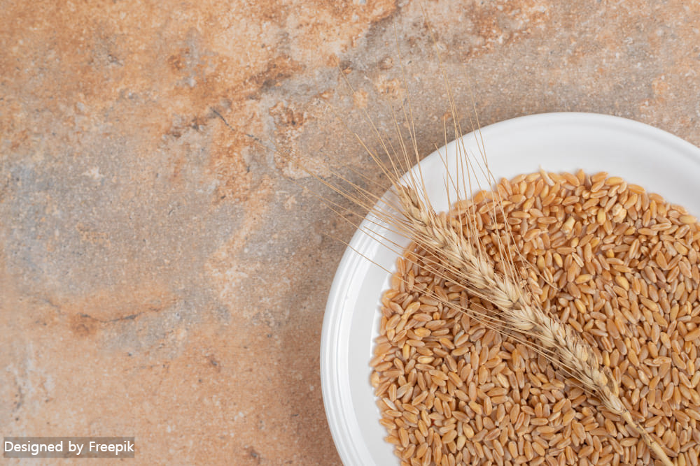 카무트 효소 효능