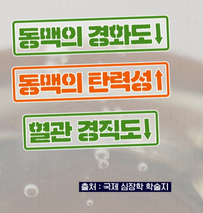 아르기닌의 효능