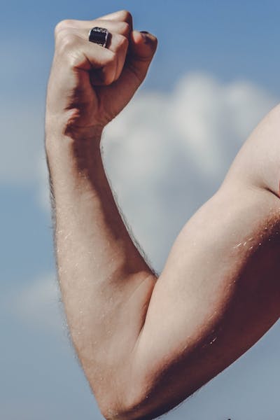 비타민 D의 주요 역할