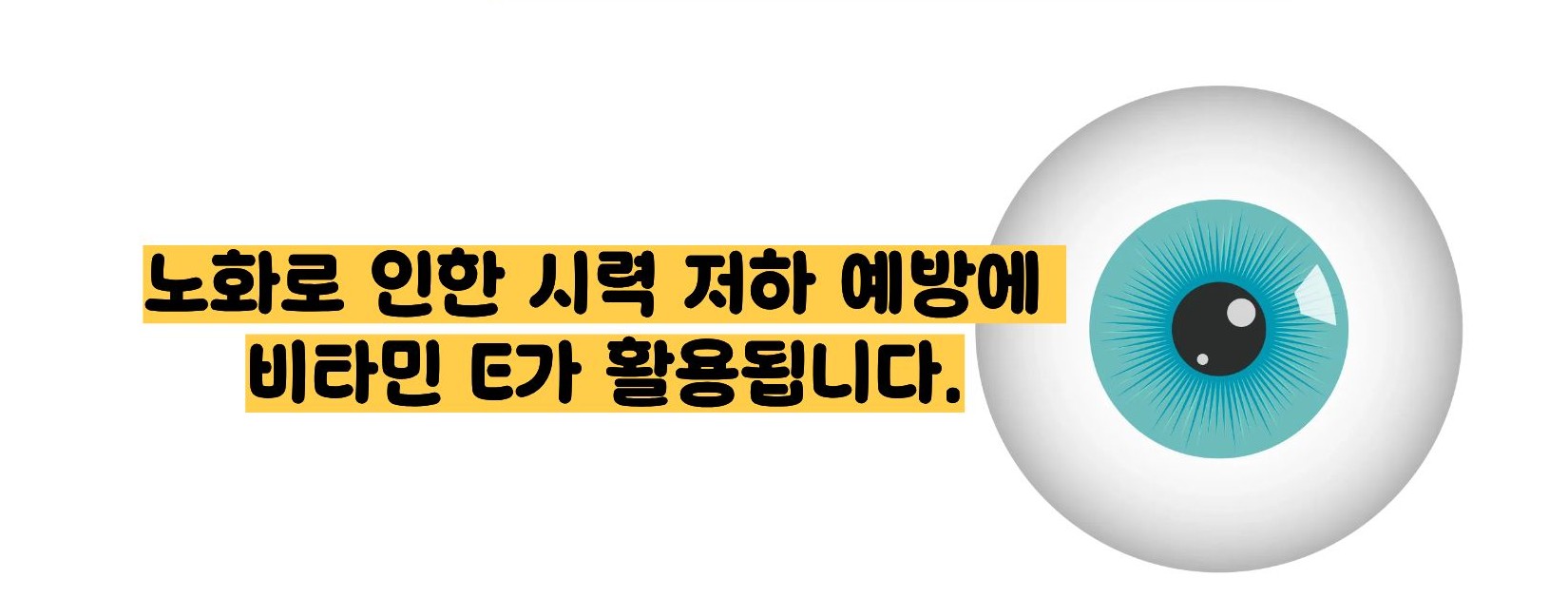 비타민e의 효능