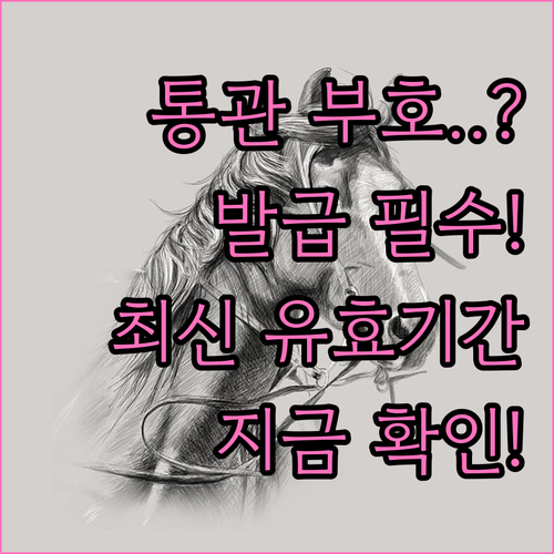 관세청 UNI-PASS 개인통관고유부..