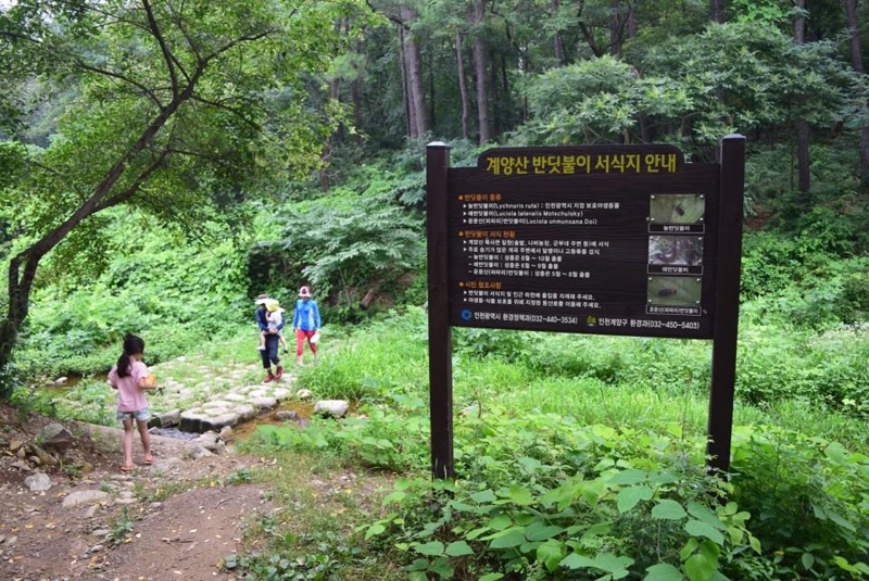 인천광역시 등산로종합안내도 계양산 천마산 둘레길