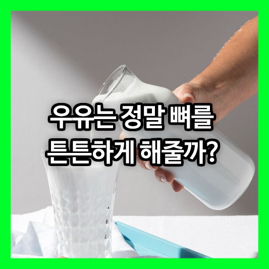 우유는 정말 뼈를 튼튼하게 해줄까? 과학적 진실과 오해