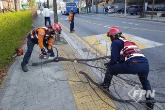 봄철 강풍 꽃가루 농도 알레르기 마스크 관리_27