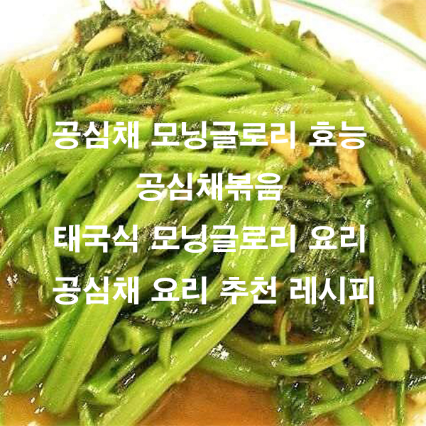 공심채 모닝글로리 효능 공심채볶음 태국식 모닝글로리 요리 공심채 요리 추천 레시피