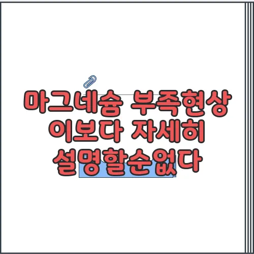마그네슘 부족현상 이보다 자세히 설명할순없다