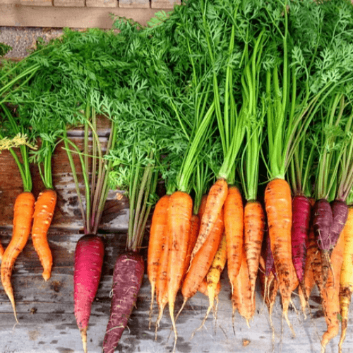 탈모 예방에 좋은 음식